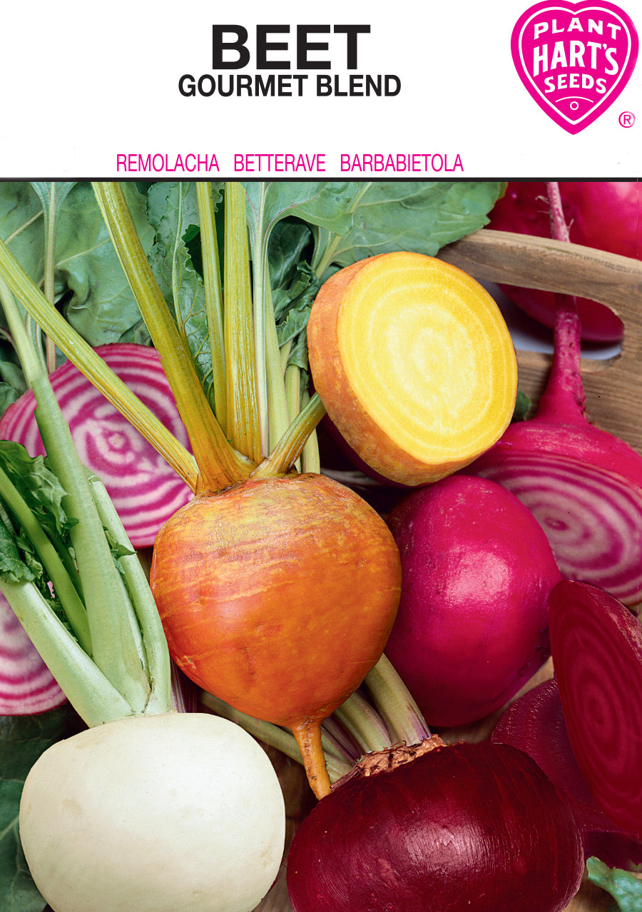 Beet Gourmet Blend