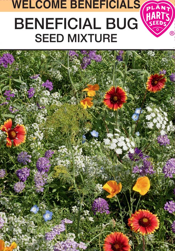Beneficial Bug Mix