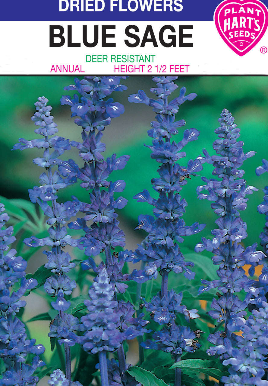 Sage Blue