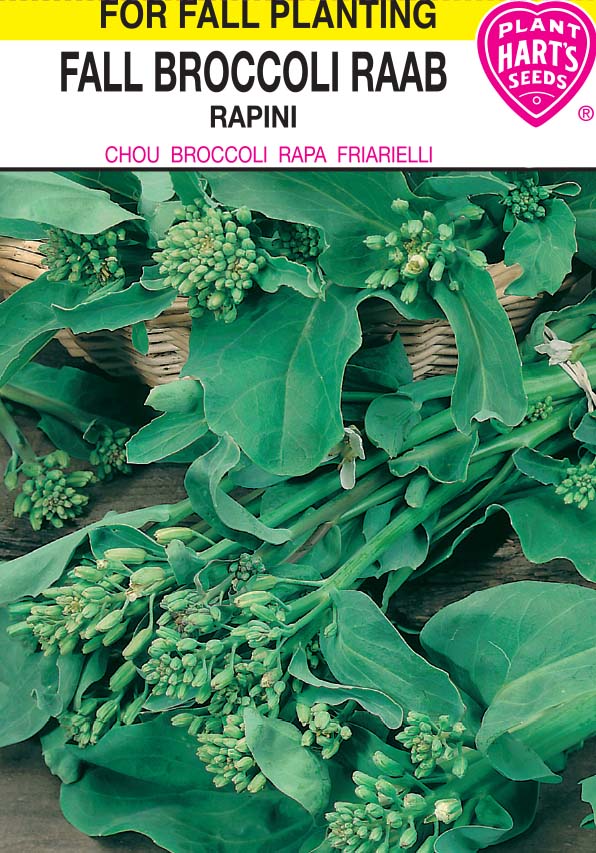 Broccoli Fall Raab