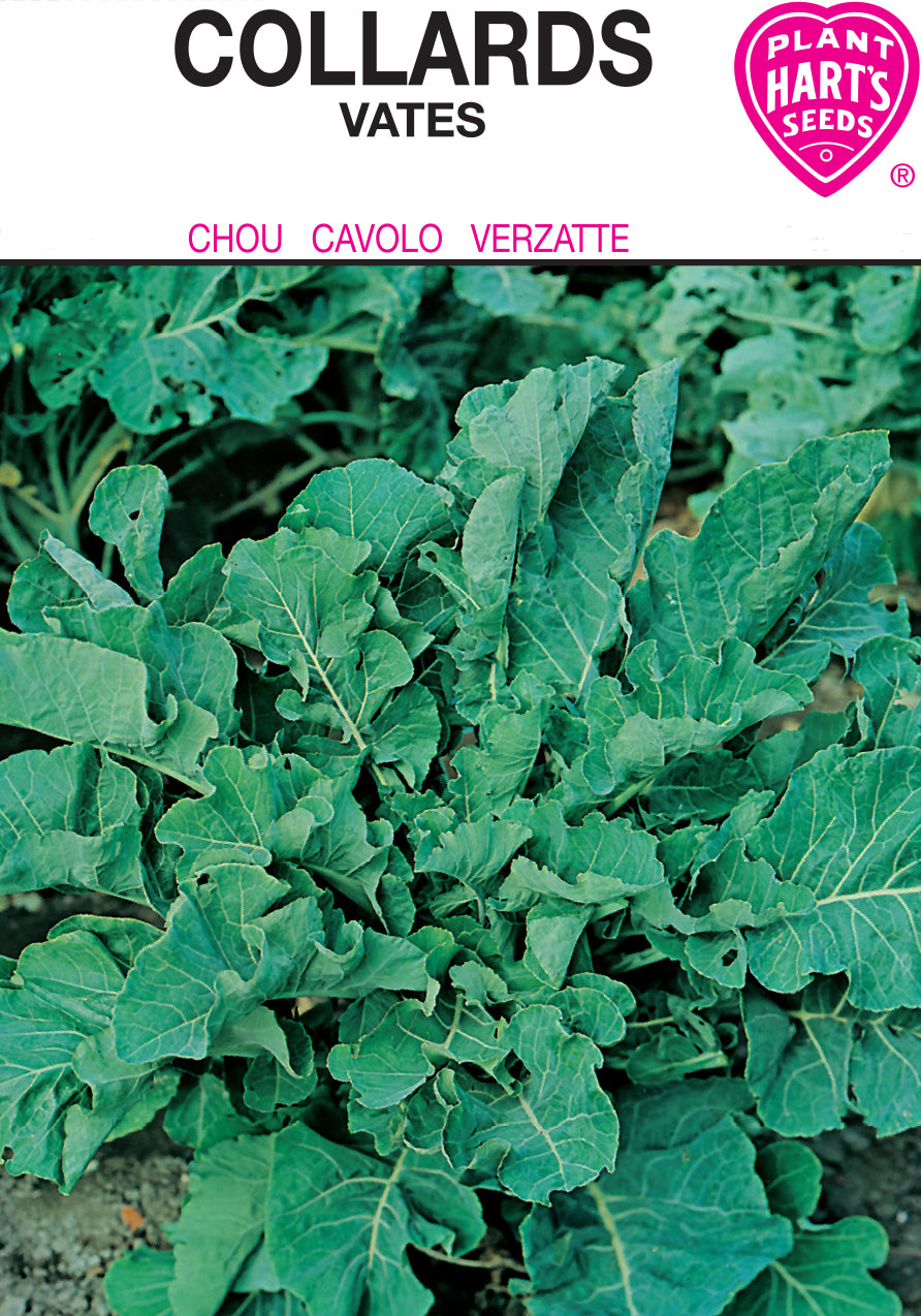 Collards Vates