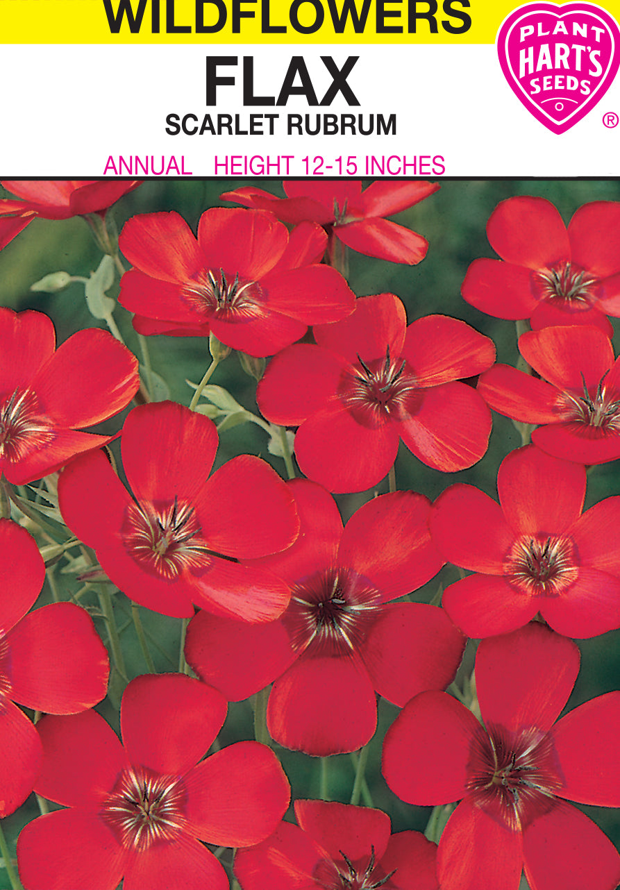 Flax Scarlet