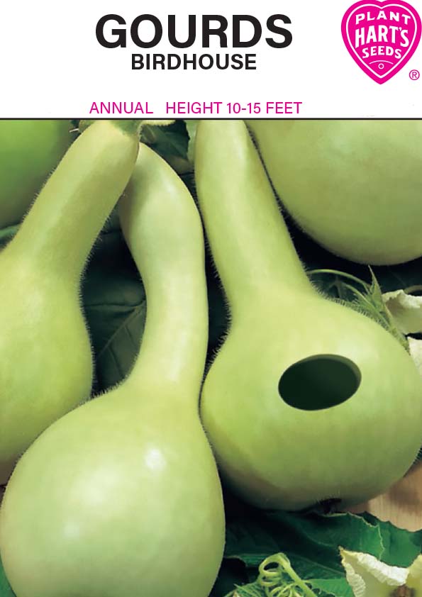 Gourds Birdhouse