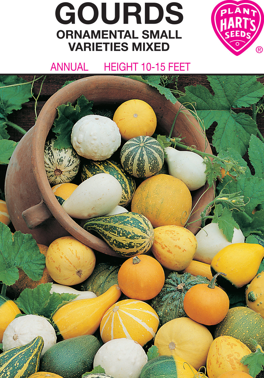 Gourds Small Mixed