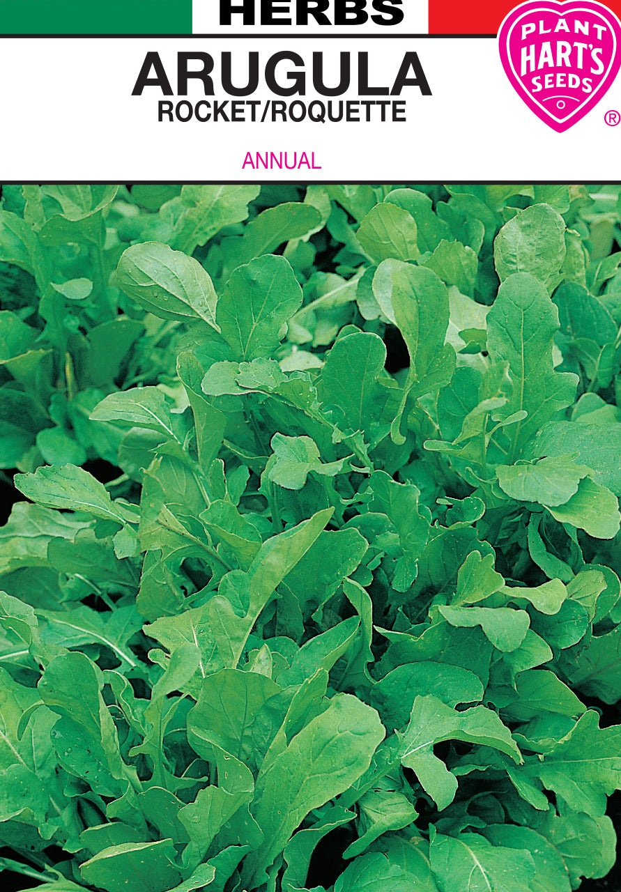 Arugula – Plants Hart's Seeds