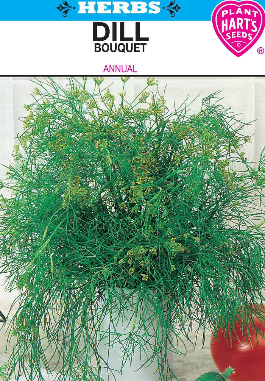 Dill Bouquet