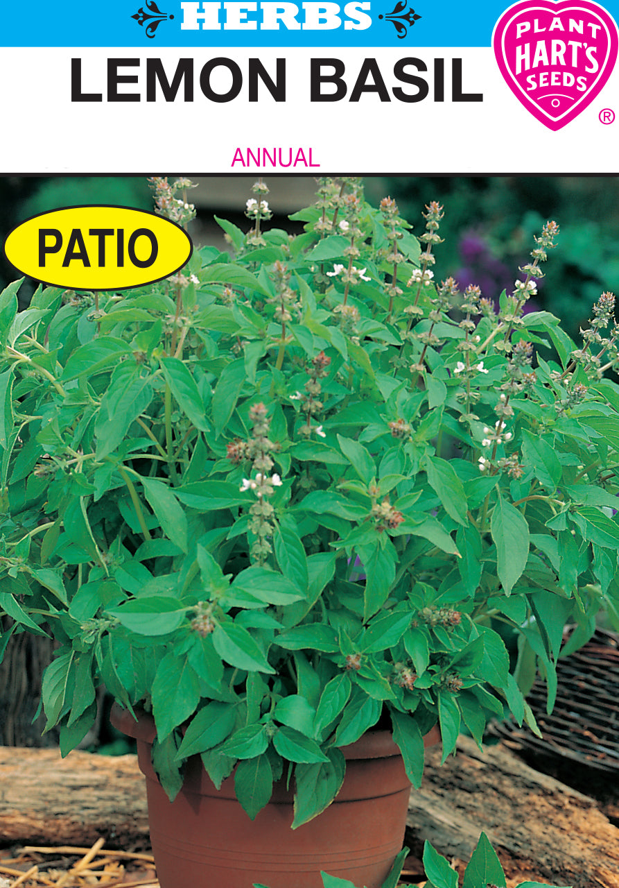 Basil Lemon