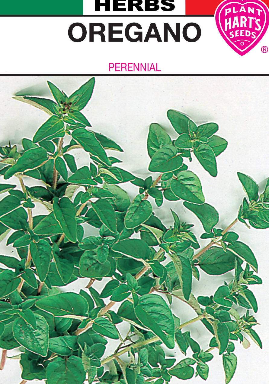 Oregano