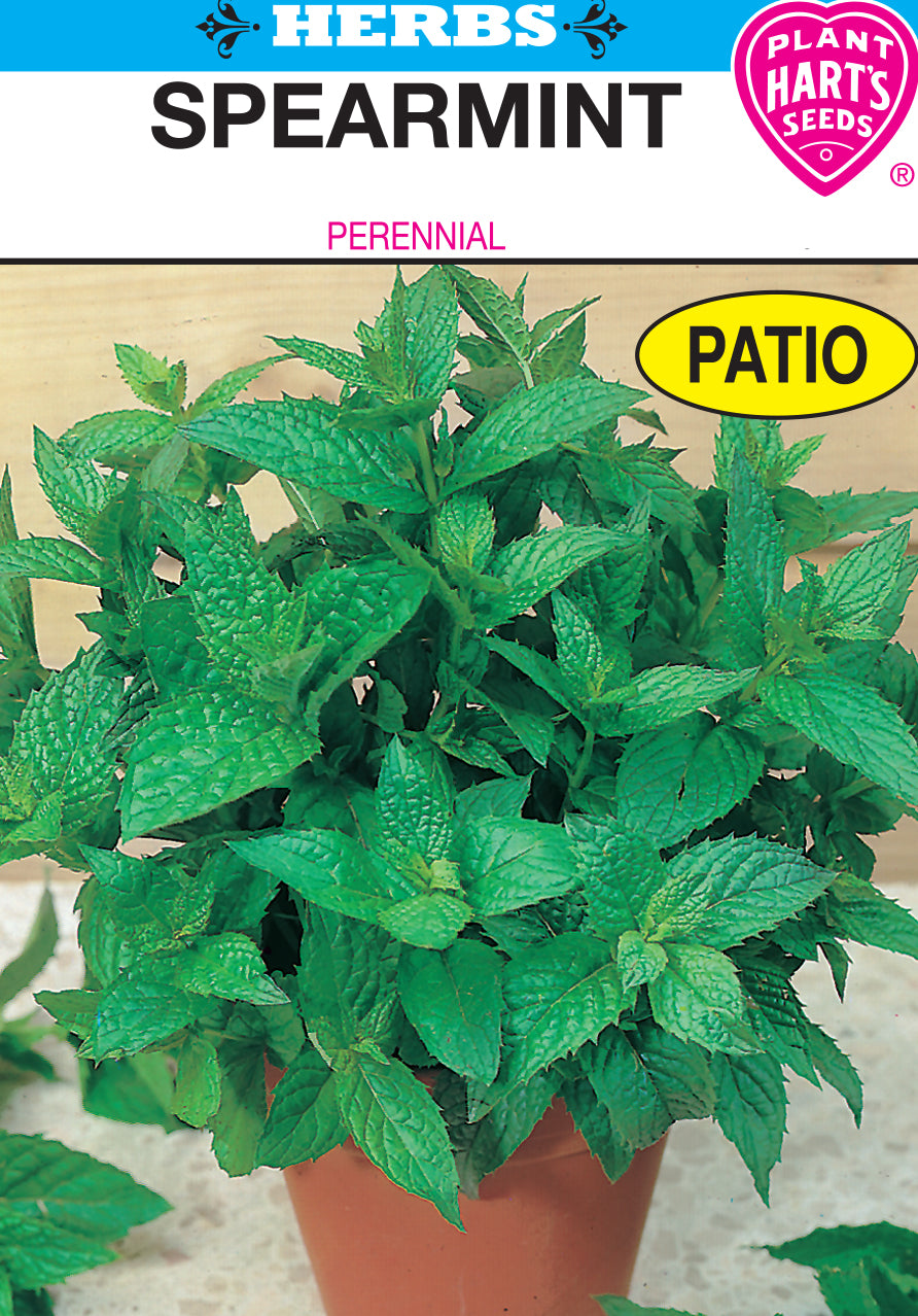 Spearmint