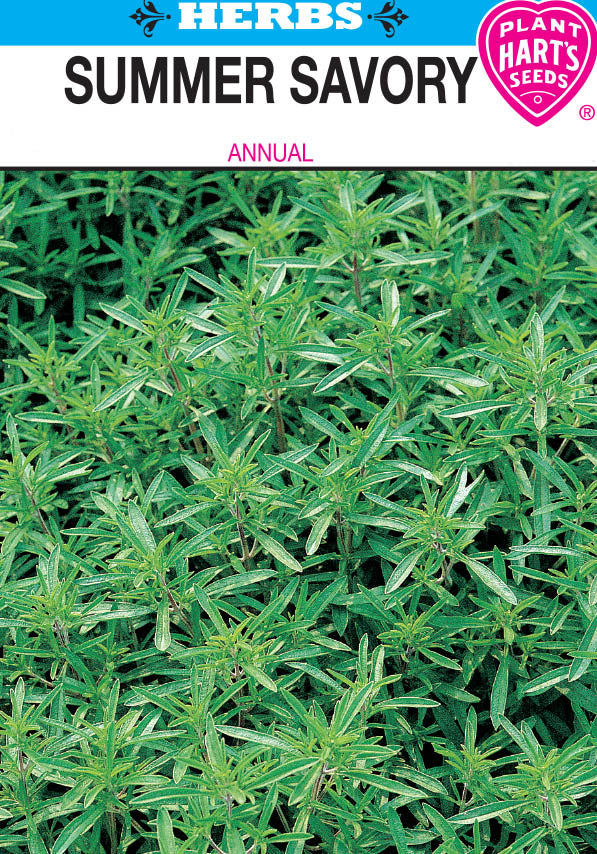 Summer Savory