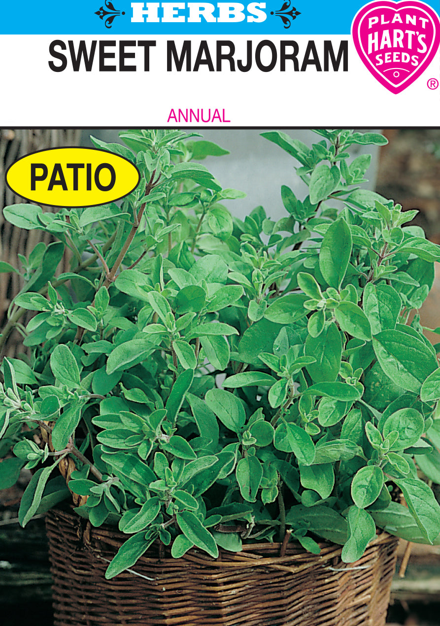 Sweet Marjoram