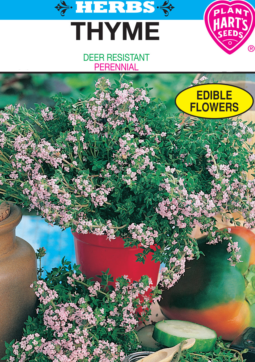 Thyme