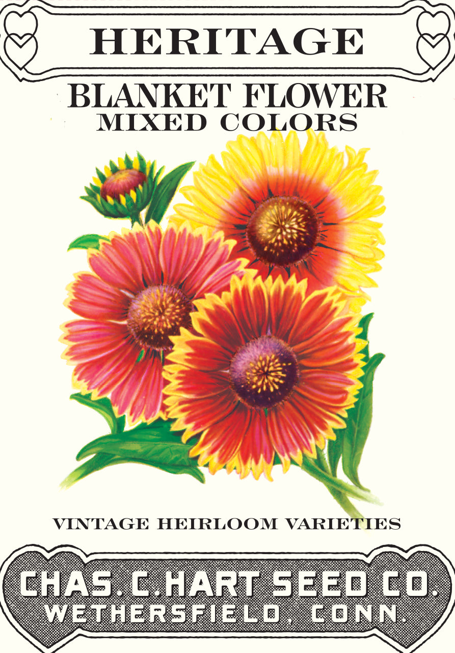 heritage flower seeds Blanket Flower- Heritage Packet