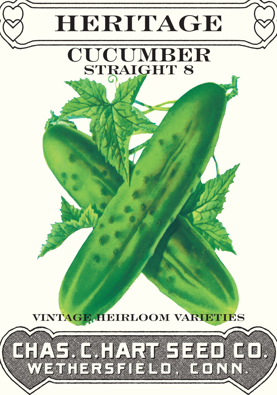 Cucumber Straight Eight