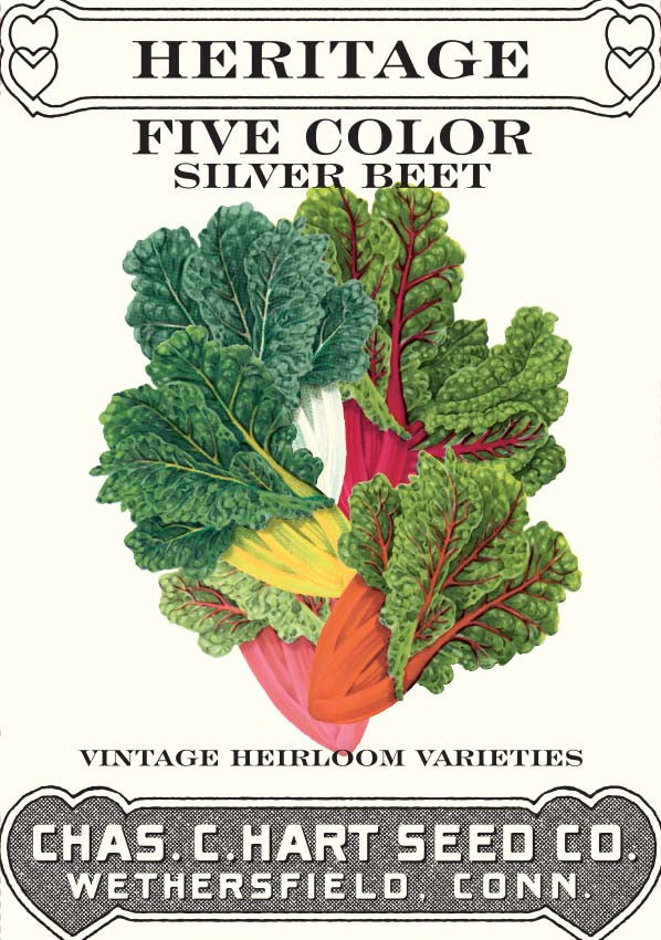 Swiss Chard (Silver Beet) Five Color