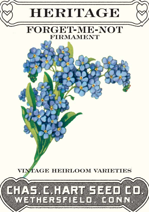Forget Me Not- Heritage Packet