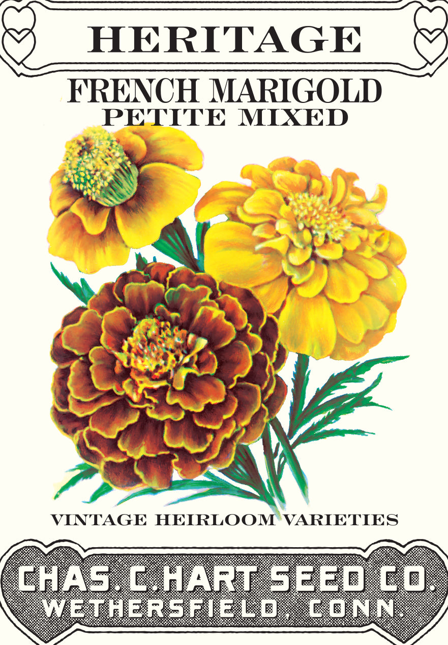 French Marigold Petite Mixed- Heritage Packet