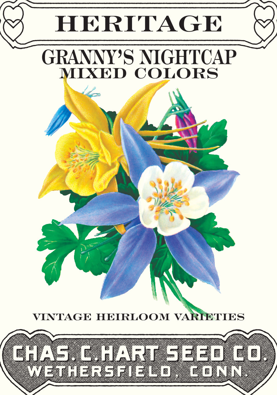 Columbine Granny's Nightcap Mixed- Heritage Packet