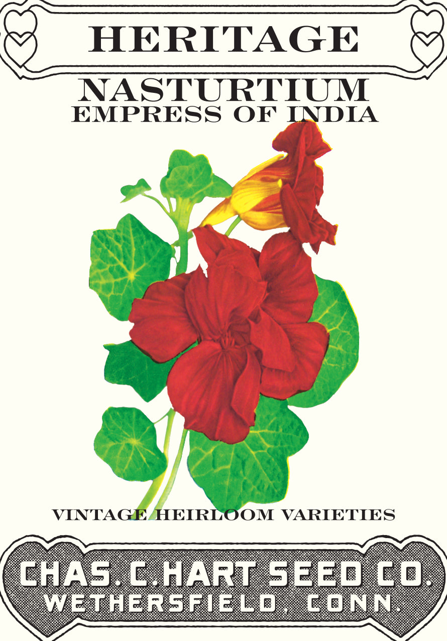 Nasturtium Empress of India