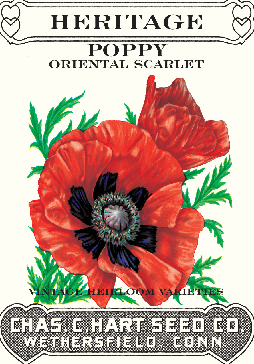 Poppy Oriental Scarlet- Heritage Packet