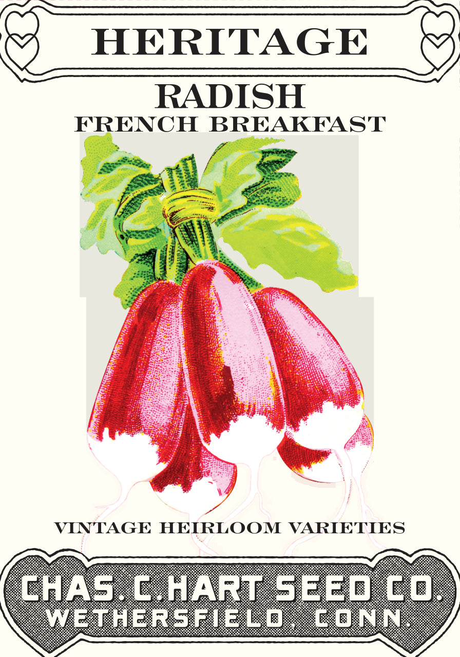 Radish French Breakfast
