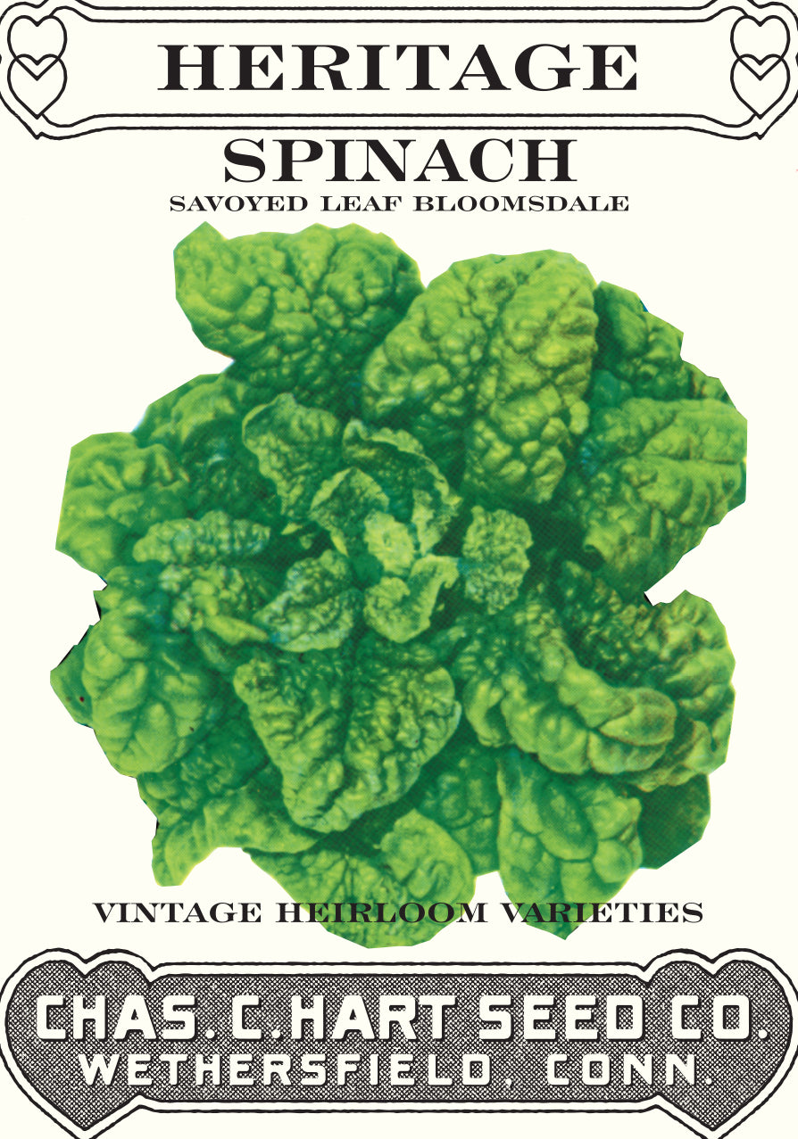 Spinach Bloomsdale Savoy Heritage Packet