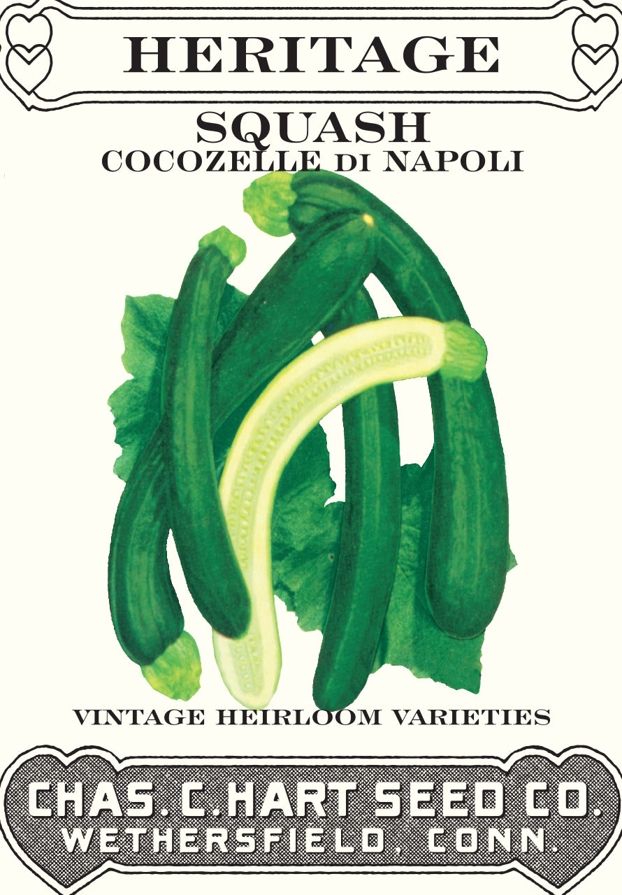 Squash Cocozelle di Napoli Heritage Packet