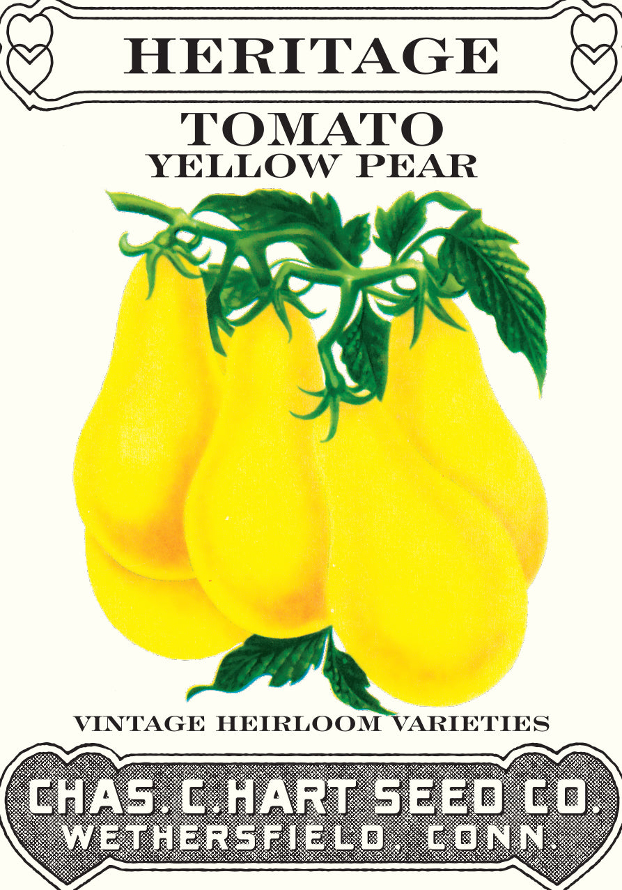 Tomato Yellow Pear (Cherry)