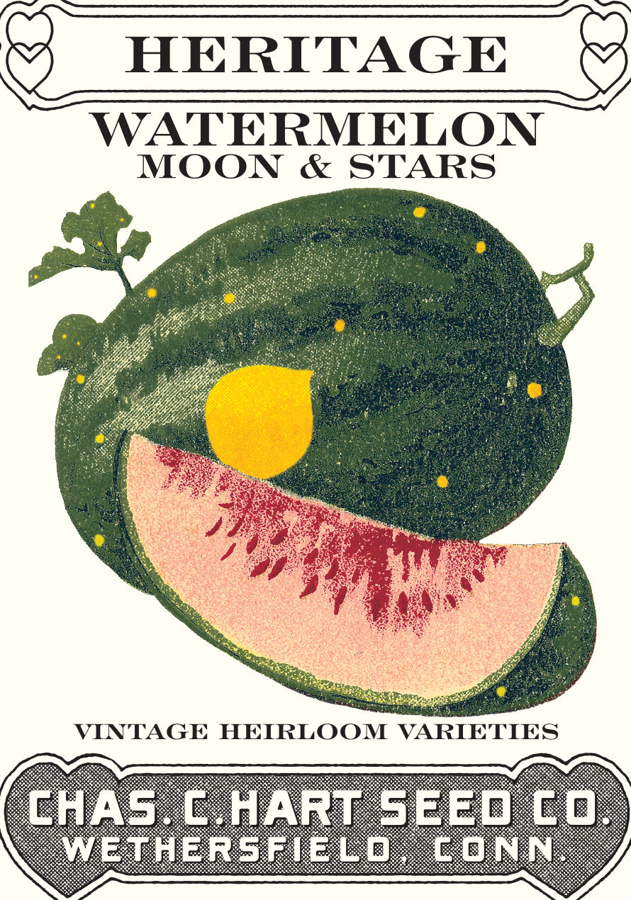 Watermelon Moon & Stars