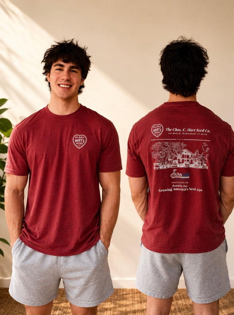 T-Shirt Men's USA 250