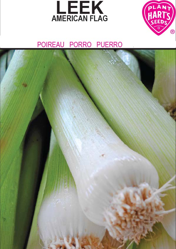 Leek American Flag