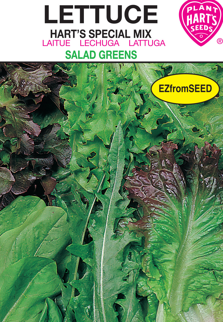 Lettuce Hart's Special Mix