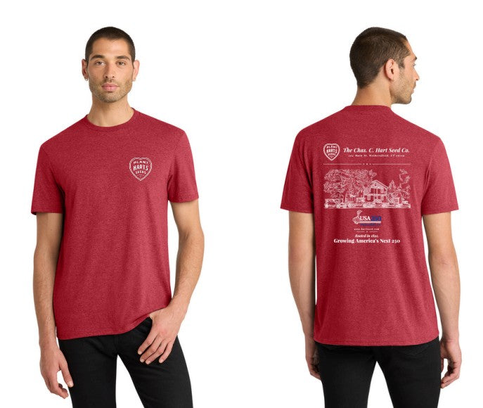 T-Shirt Men's USA 250