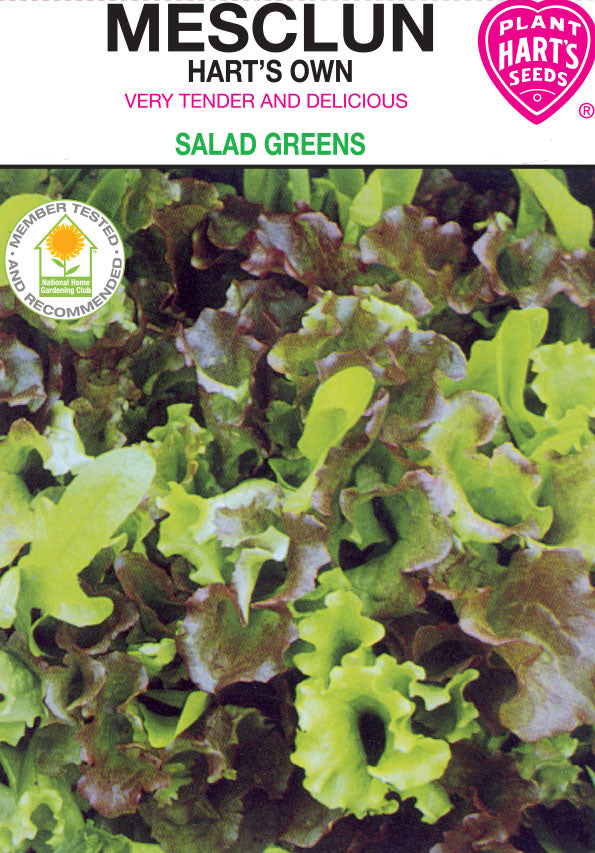Mesclun Salad Mix
