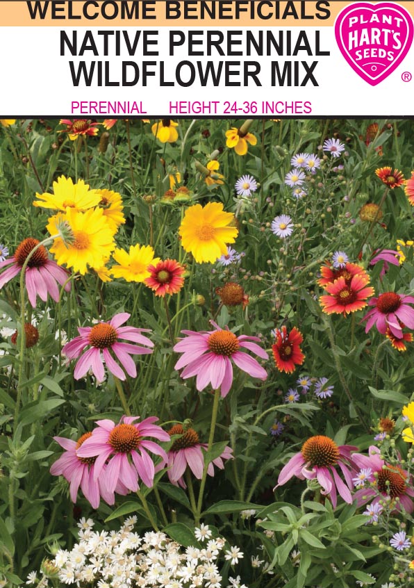 Wildflower Native Perennial Mix