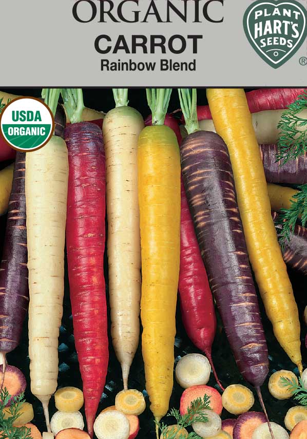 Carrot Rainbow Mixed Organic