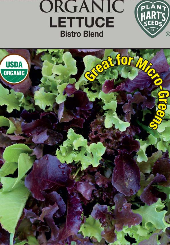 Lettuce Bistro Blend Organic