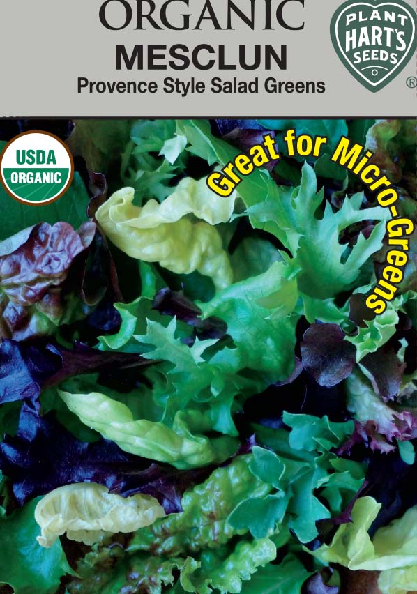 Mesclun Provence Style Organic