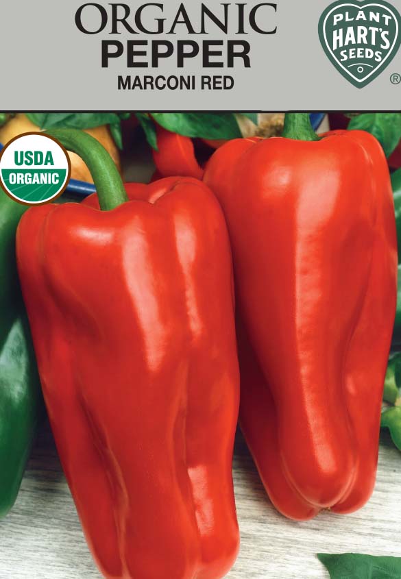 Pepper Marconi Red Organic