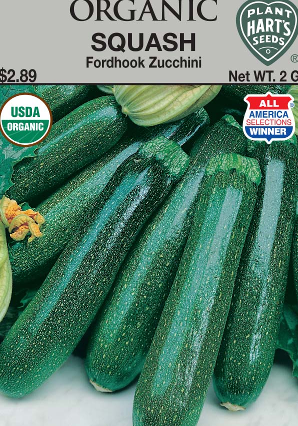 Squash Fordhook Zucchini Organic