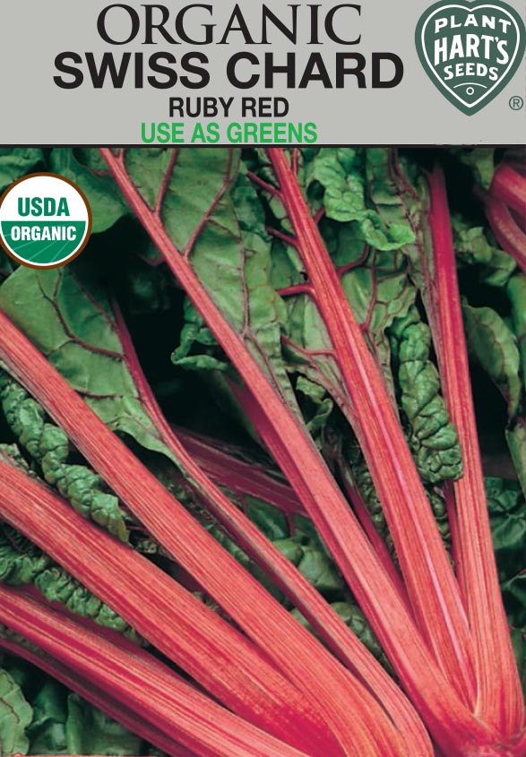 Swiss Chard Ruby Red Organic