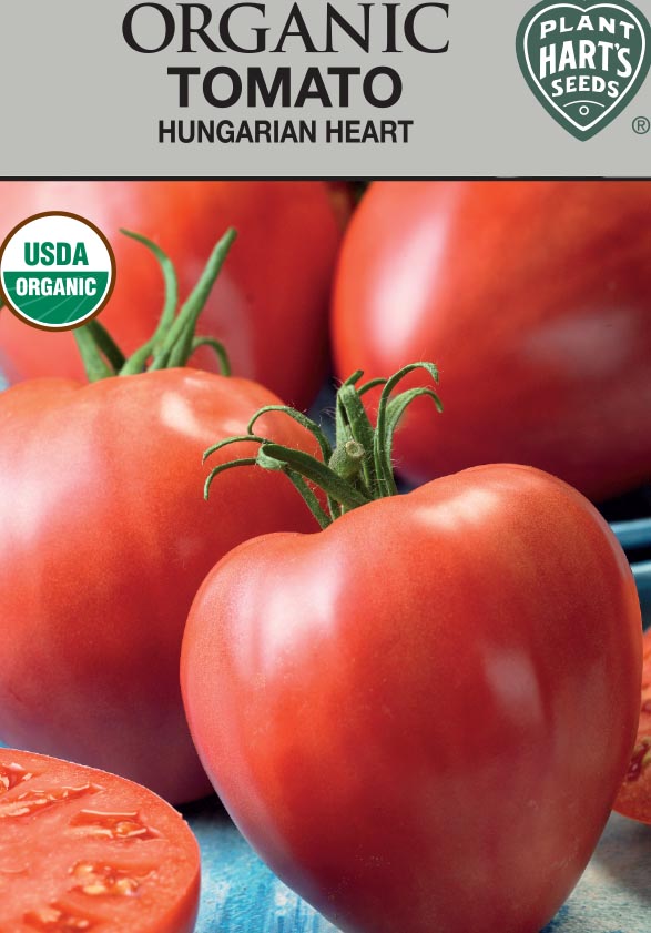 Tomato Hungarian Heart Organic