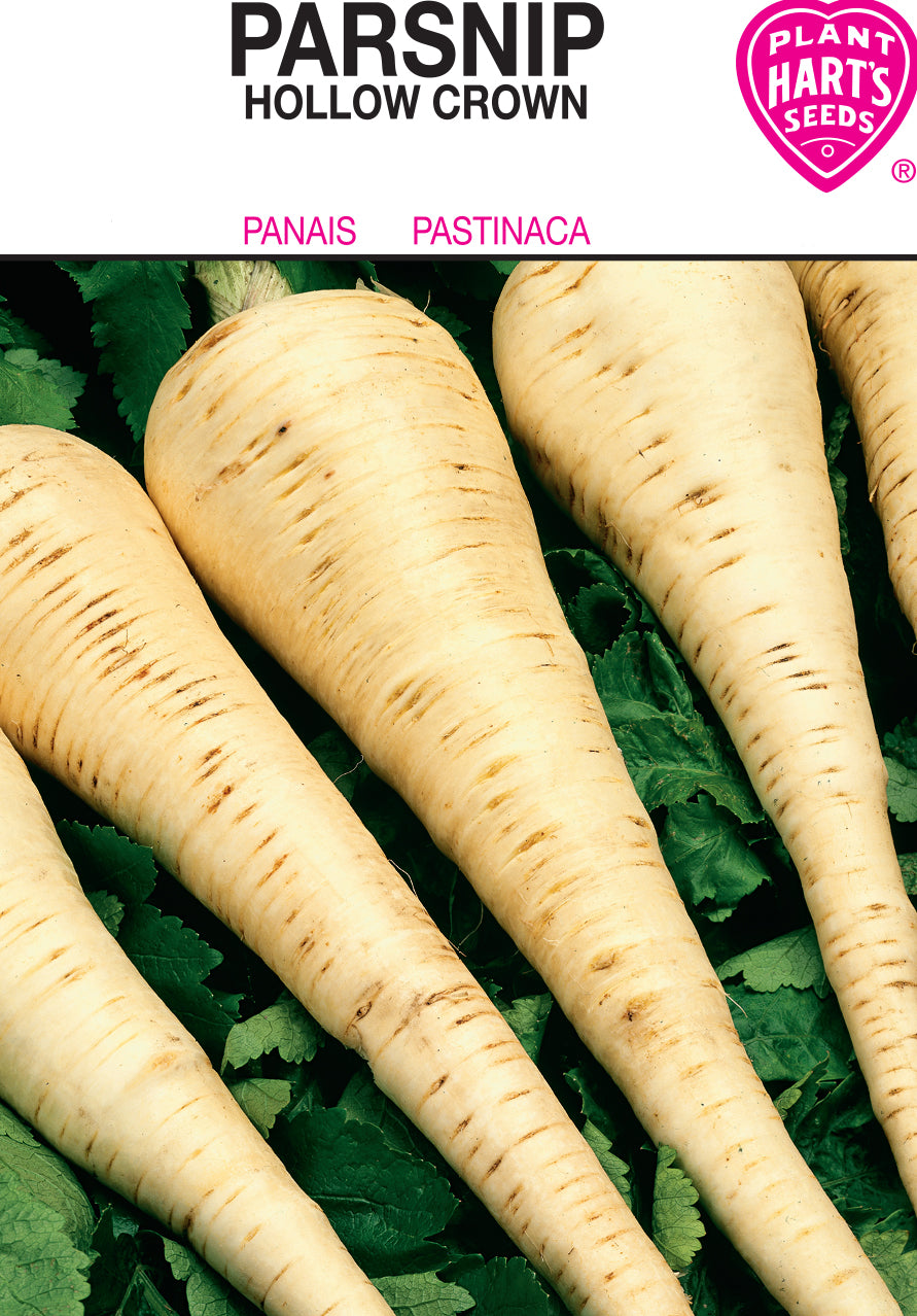 Parsnip Hollow Crown
