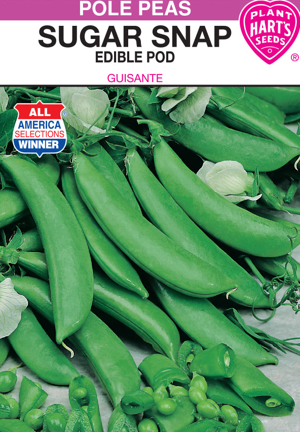 Pea Sugar Snap Pole