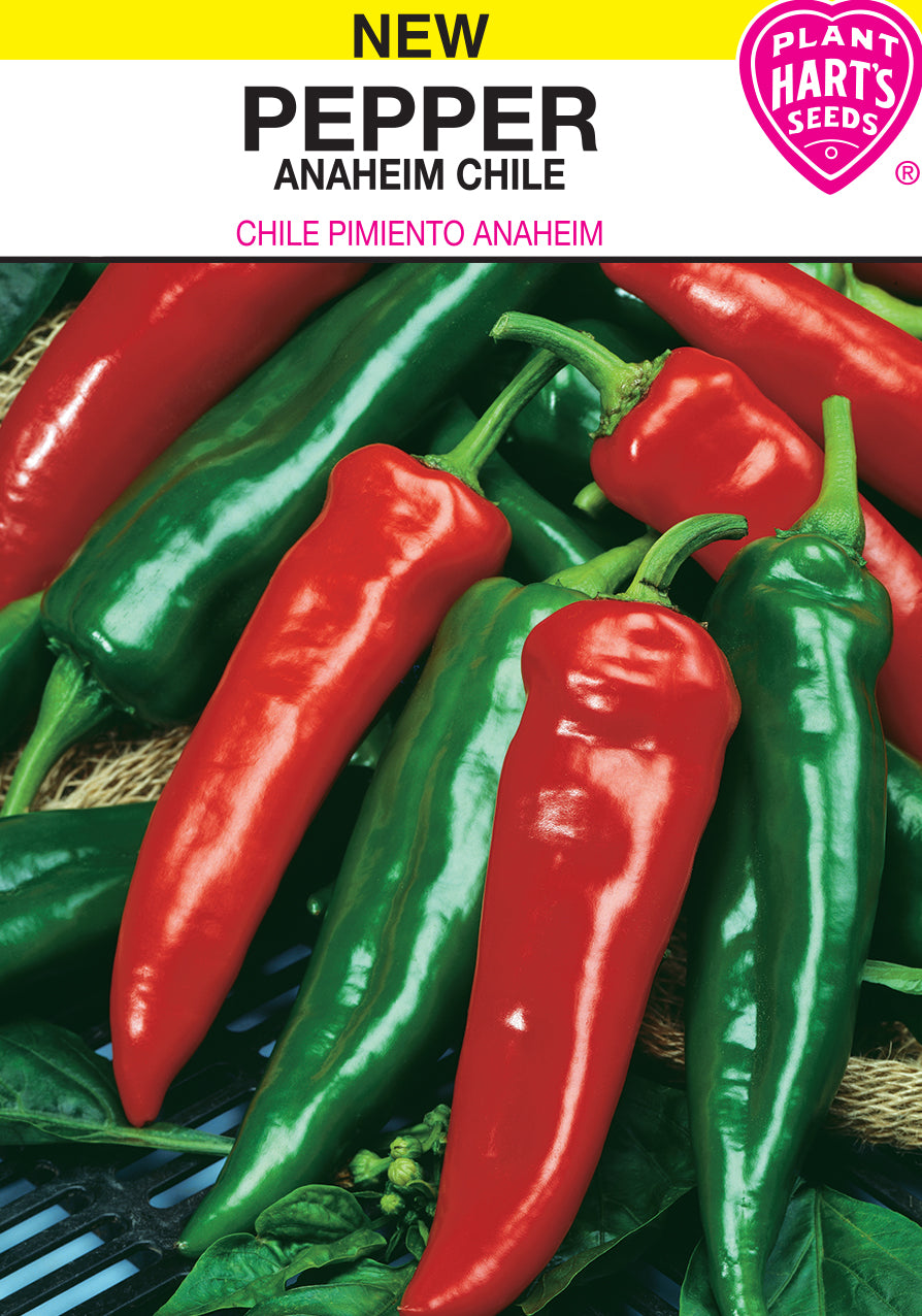 Pepper Anaheim Chile