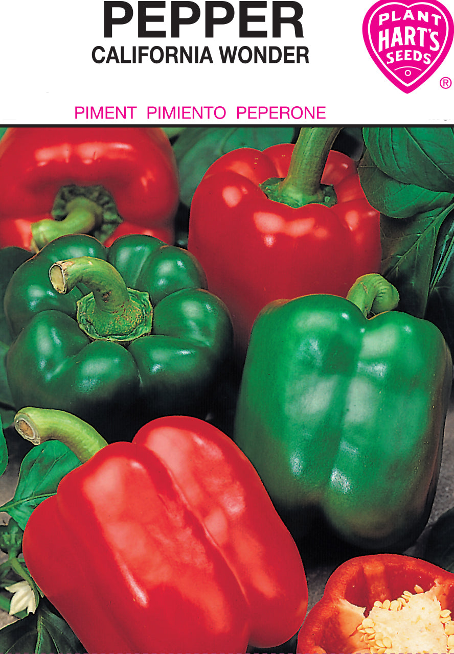 Pepper California Wonder (Bell)