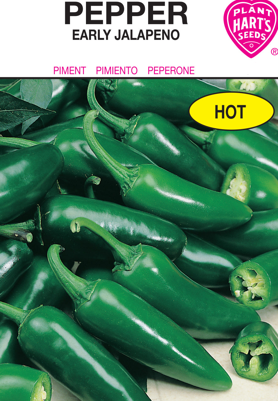 Pepper Jalapeno