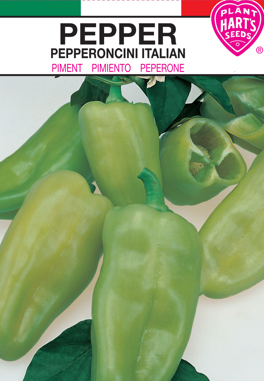 Pepper Pepperoncini