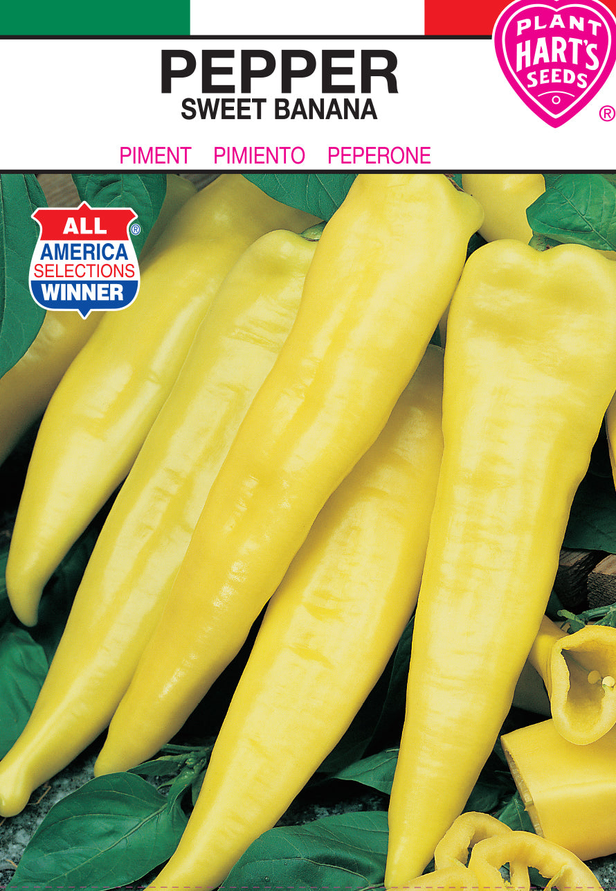 Pepper Sweet Banana
