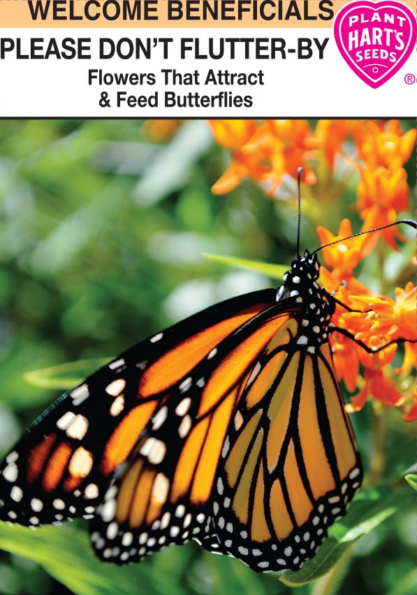 Butterfly Blend- Please Don't Flutter By